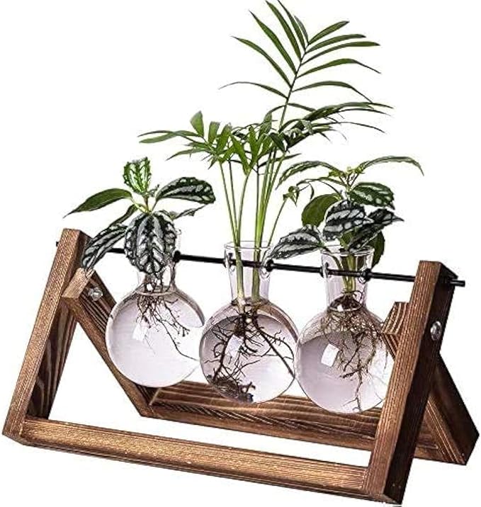 Kingbuy Plant Terrarium Propagation Station - 3