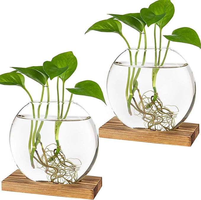 Kingbuy Round Glass Desktop Planter with Wooden